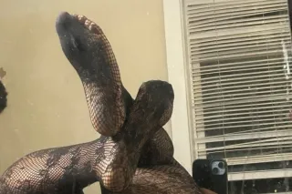 white men and migos only 60$ b... - Image 2